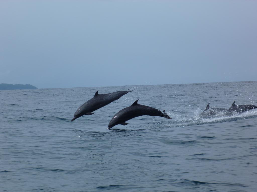 Mirians Place Drake Drakes Bay Esterno foto